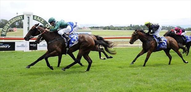 Joyful Journey - Hawkesbury - 26/02/2015